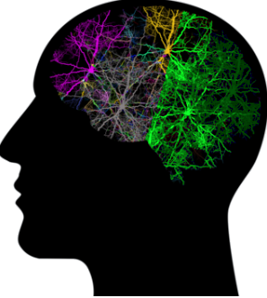 Brain Stage 3