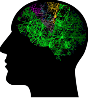 Brain Stage 5